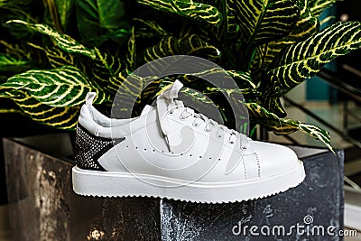 White sneaker with a star ornament made of rhinestones on the backdrop against the motley leaves of the plant Stock Photo