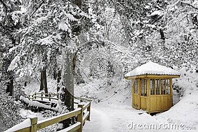 White snow cabin in pine forest Stock Photo