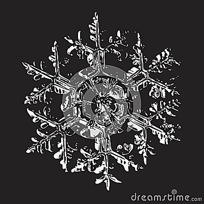 White snowflake on black background Cartoon Illustration