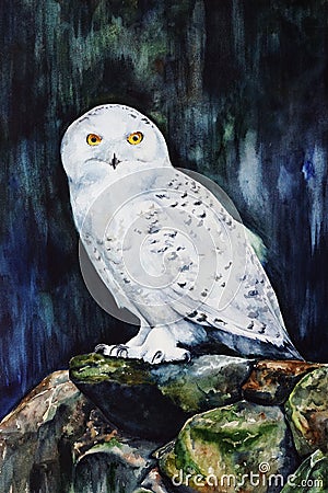 White snowy owl in the forest watercolor Stock Photo