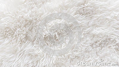 White soft wool texture background, seamless cotton wool, light natural sheep wool, close-up texture of white fluffy fur, wool wit Stock Photo