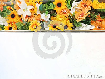 White space with Sunflower background Stock Photo