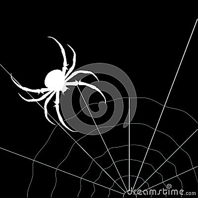 White spider on the black background. Vector silhouette Vector Illustration