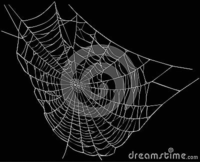 White spider web Stock Photo