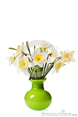 White Spring Daffodil Flower bunch Stock Photo