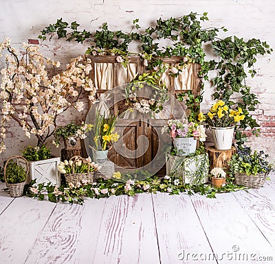 White spring sett up with colourful flowers yellow and light wood Stock Photo