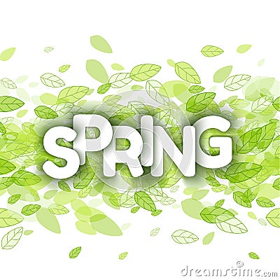 White spring sign over green leaves Vector Illustration