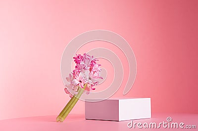White square podium for display cosmetic and goods with fresh spring flowers standing on gentle pastel pink background. Stock Photo
