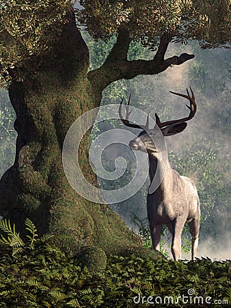 The White Stag Stock Photo