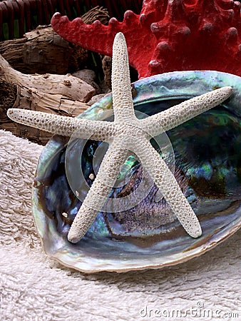 Starfish and nacre seashell Stock Photo