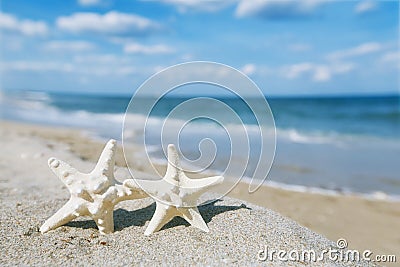 White starfish with ocean, beach, sky and seascape Stock Photo