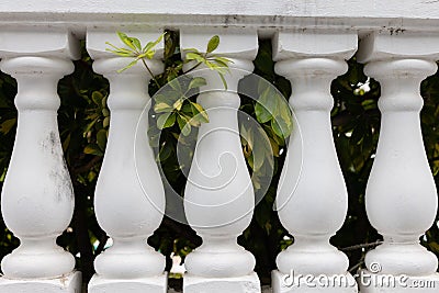 White stone columns wall fence railing with garden behind. Stock Photo
