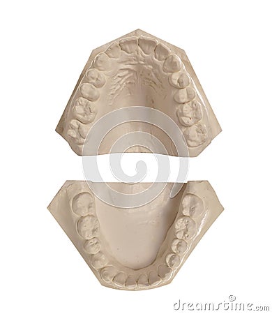 White stone models of teeth Stock Photo