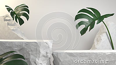 White Stone For Product Display Podium, Debris Stone Slabs, Monstera Tropic, Abstract Background 3d Render Stock Photo