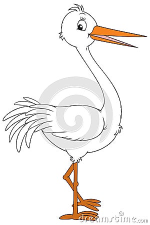 White stork Vector Illustration