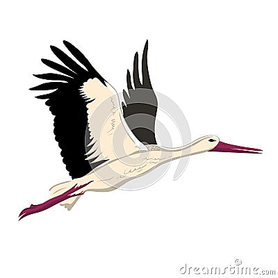 White stork flying up wings. A white stork sketch style Vector Illustration