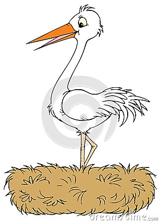 White stork (vector clip-art) Vector Illustration