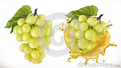 White sweet grapes and juice splash. Vector icon Vector Illustration