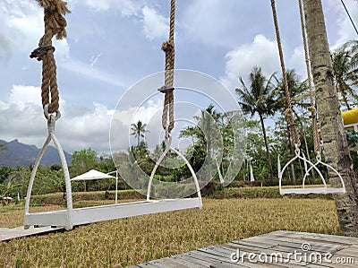 White swings located in the middle of rice field with nature moyntains background Stock Photo