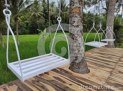 The white swings in the middle of rice field for relax and relieve stress Stock Photo