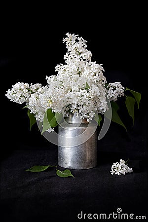 White Syringa flowers in an old milk can Stock Photo