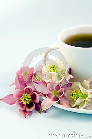 White teacup with tea Stock Photo