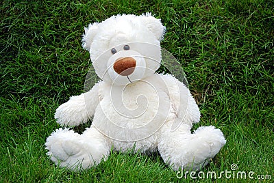 White teddy-bear Stock Photo