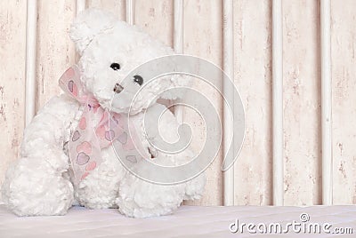 White teddy bear Stock Photo