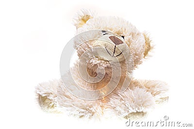 White Teddy bear soft toy. Stock Photo