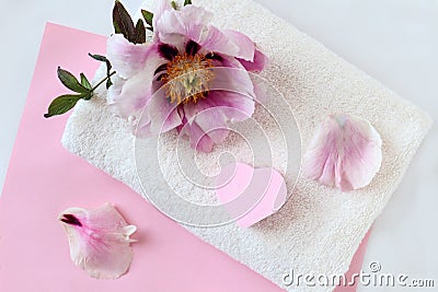 White Terry towel with a delicate peony flower on a pink background, top view - the concept of gentle body care Stock Photo