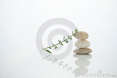 White three stack stone with green plant still life in zen wellness health spiritual concept Stock Photo