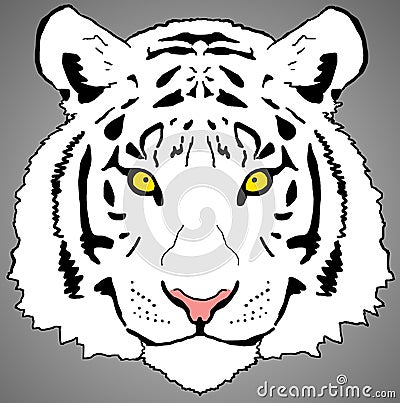 White Tiger Face Digital Painting- PNG Raster Design Stock Photo