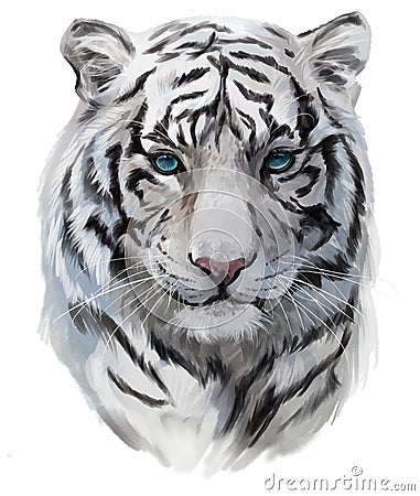 The white tiger Stock Photo