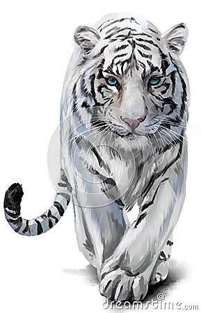 White tiger watercolor painting Stock Photo