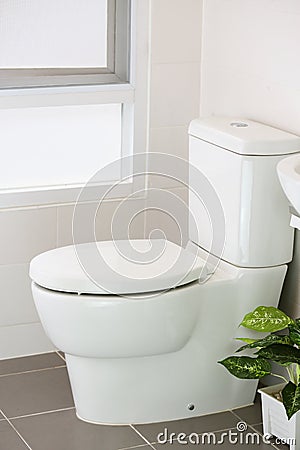 White toilet in modern home, white toilet bowl in cleaning room, flushing liquid in toilet, private toilet in modern room Stock Photo