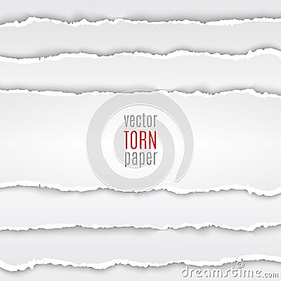 White torn paper Vector Illustration