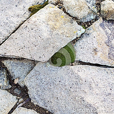 White tufa rock shards make a design around a small bubble of green moss Stock Photo
