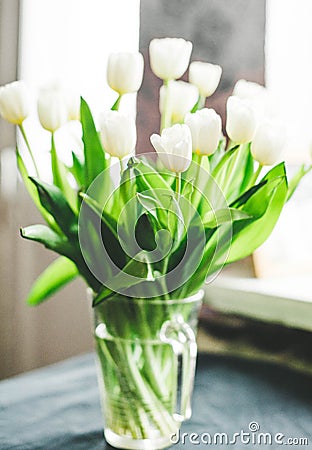 White tulips Stock Photo