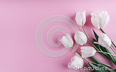 White tulips flowers over light pink background. Greeting card or wedding invitation. Stock Photo