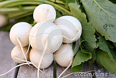 White Turnips Stock Photo