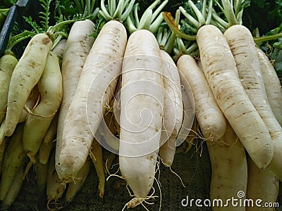 White turnips Stock Photo