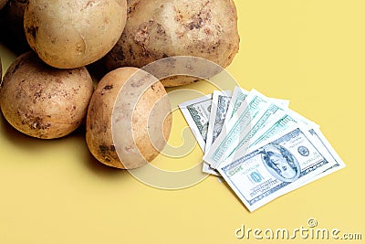 White unwashed potatoes on a yellow background next to a bundle of dollars Stock Photo