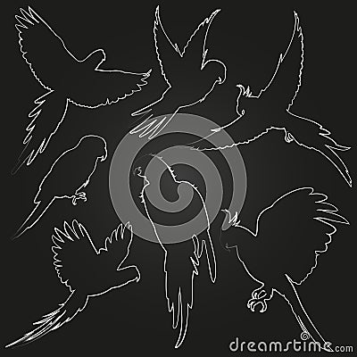 White vector parrots, jungle birds line silhouettes Vector Illustration