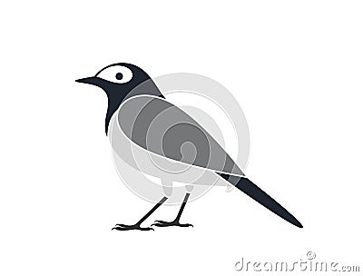 White Wagtail bird. Isolated white wagtail bird on white background Vector Illustration