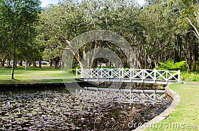 White walkway bridge over the lotus pond with its shadow on the water in close-up with the forest at the background at Sydney. Stock Photo