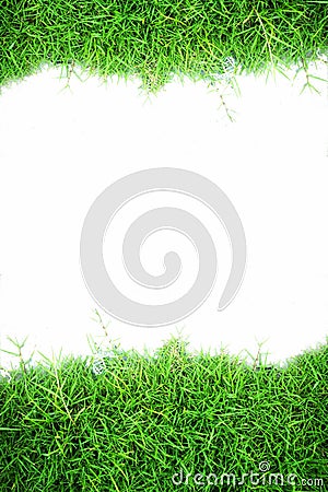 white wall and green grass background Stock Photo