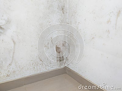 White wall with mold and fungus problem. Moisture problem Stock Photo