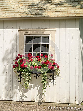 White wall, window and flowers in window box planter Stock Photo