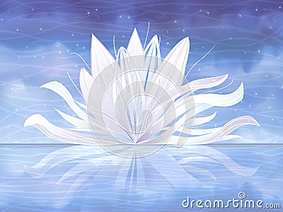 White water lily Vector Illustration