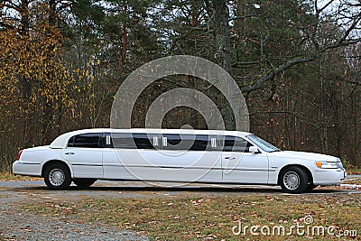 white wedding limousine with tinted panoramic windows Lincoln town car stands in the autumn forest Editorial Stock Photo